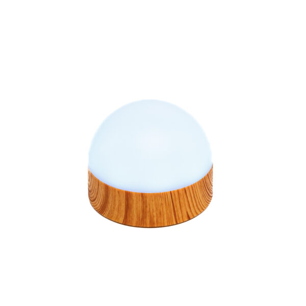 De wit-houtlook Tafellamp DORSETTO is oplaadbaar (105 uur), waterdicht en wordt geleverd met afstandsbediening. Het elegante ontwerp bestaat uit een matte witte bovenkant en een basis met houtlook, ideaal tegen een neutrale achtergrond.