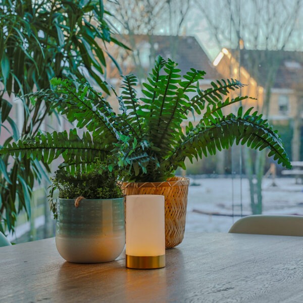 Twee groene planten in potten en het Tafellamp DORSETTO oplaadbaar met goud staan op een houten tafel, met grote ramen die uitzicht bieden op een besneeuwd landschap en huizen in de achtergrond.